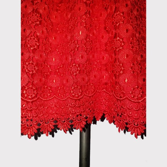 Embroidered Lace Strapless Bustier Dress XS - Picture 5 of 10